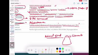 fludrocortisone pharmacology endocrinology 97  First Aid USMLE Step 1 in UrduHindi [upl. by Anaitit666]