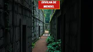 Cidade Colonial Perdida na Amazônia A Redescoberta Histórica que Revela Segredos do Passado [upl. by Duahsar]