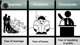 Phobias That You Have at Least 3 of Them [upl. by Harriman]