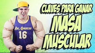 Cómo GANAR MASA MUSCULAR 💪 3 PILARES BÁSICOS para coger MÚSCULO Y VOLUMEN [upl. by Belier]