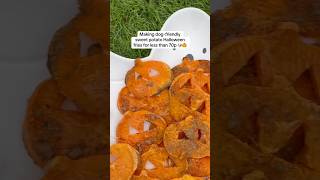 Dogfriendly sweet potato fries perfect for your 4 legged trick or treaters🐶easyrecipe dogtok [upl. by Onibas502]