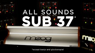 All Sounds Moog Sub 37 [upl. by Youngman544]