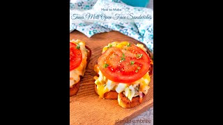 How to Make Tuna Melt Open Face Sandwiches [upl. by Jobye]