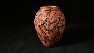 Lichtenberg Fractal Burned Vessel [upl. by Anirbus]