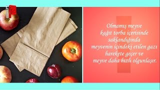 Ham meyve nasıl olgunlaşır [upl. by Anirbys898]