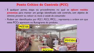 Análise de Perigos e Pontos Críticos de Controle  APPCC [upl. by Modeste473]