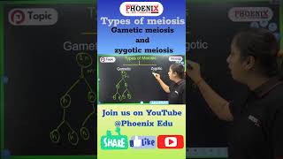 Types of meiosis  Gametic meiosis and zygotic meiosis 🧫☣shorts reels feedshorts viralshorts [upl. by Cibis]