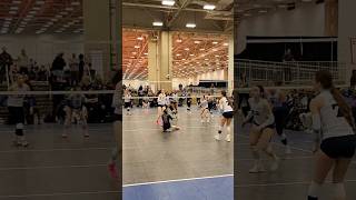 Great Volleyball Rally from the AVC libero delaneymoon shorts [upl. by Hesoj285]