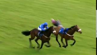 Horseracing thrills amp spills compilation [upl. by Lefty439]