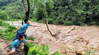 Loss After the big flood what will the two poor children do to make a living [upl. by Gruver]