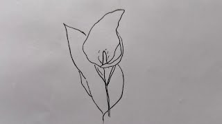 Calla lily Flower drawing easy CALLA LILY FLOWER [upl. by Blanche]