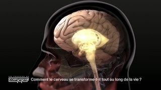 La transformation du cerveau au fil de la vie [upl. by Cameron556]