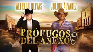 Profugos Del Anexo  Julión Álvarez y Alfredo Olivas quotEn las buenas y en las malasquot [upl. by Silvana531]