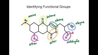 Identifying Functional Groups in Organic Structures  Chemistry Practice Problems [upl. by Sherris]