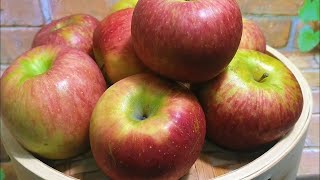 Como fazer MAÇÃ COZIDA simples  SOBREMESA SEM AÇÚCAR  Já utiliza MAÇÃ COZIDA🍎 [upl. by Ellesor]