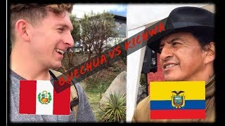 quotGR3NGASHOquot 🔥CÓMO INICIÓ EN NTPTV BENJA FUE SU ESCLAVO ESCAPANDO DE AMÉRICA  Tú Quieres Show T2 [upl. by Shute]