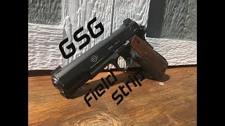 GSG 1911 Field Strip [upl. by Notlrak148]