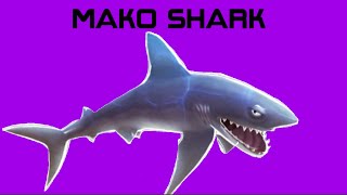 Hungry shark evolution Mako shark [upl. by Neelcaj]