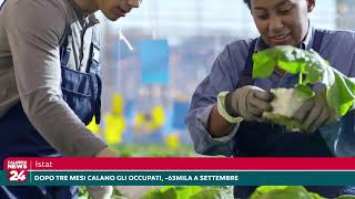 Istat Dopo tre mesi calano occupati a settembre 63mila [upl. by Quince292]