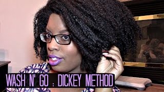 Natural Hair  Wash n Go using  The Dickey Method [upl. by Means791]