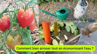 Comment jarrose la tomate et le poivron  2022 [upl. by Nywg479]