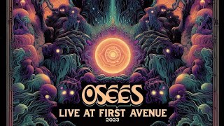 OSEES  Live At First Ave 23 [upl. by Elbys]