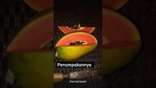 Pepayakalifornia merah membara [upl. by Eizus]