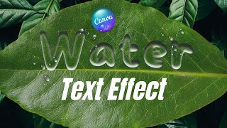 Water Text Effect Tutorial  Canva Typography Tutorial [upl. by Truda]