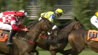 Ren 5 Waregem Koerse 2019 ING Grote Steeple Chase van Vlaanderen [upl. by Bough256]