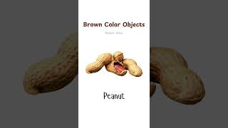 Brown color objects  Contoh benda bewarna coklat part 1 brownobjects bendacoklat [upl. by Flam]