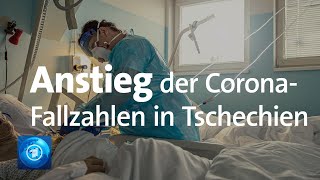 Steigende Fallzahlen in Tschechien Britische Mutation häufig in Grenzregion nachgewiesen [upl. by Notnirb]