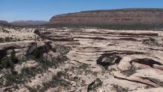 Natural Bridges National Monument [upl. by Lertnek]