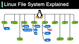 Linux File System Explained [upl. by Bartko14]