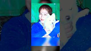 My Maxs🐶 birthday 🎂shortclips Seema Basumatary nn 5 cb [upl. by Aynwad]