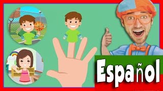 Canción de la Familia Dedo  Canciones para niños Blippi Español [upl. by Ettegdirb]