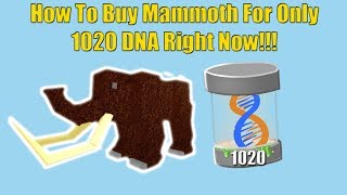 How to get Limited Mammoth RIGHT NOW  Roblox Dinosaur Simulator [upl. by Theo249]