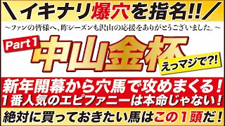 中山金杯 2024【予想】えっマジで？！新年開幕から穴馬で攻めまくる！１番人気のエピファニーは本命じゃない！絶対に買っておきたい馬はこの１頭だ！ [upl. by Sedda247]