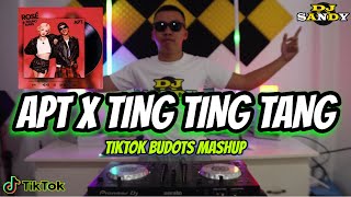 APT X TING TING TANG TikTok Mashup Budots 2024  Dj Sandy Remix [upl. by Cott]