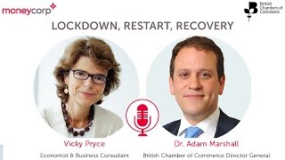 COVID19 Webinar Lockdown – Restart – Recovery [upl. by Laura562]