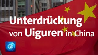 Inhaftierte Uiguren Aus diesen Gründen steckt China sie wirklich in Lager [upl. by Llenyl774]