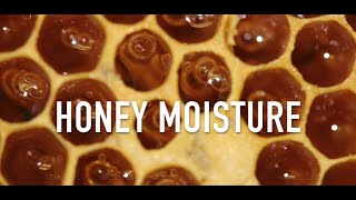 Honey Moisture [upl. by Ynned]