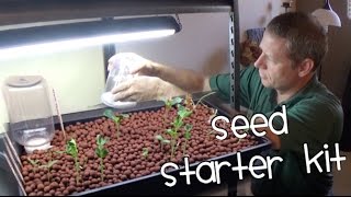 How to start a seed for an aquaponics system [upl. by Swen269]