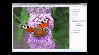Bildausschnitt ausschneiden mit Windows Live Fotogalerie [upl. by Tanya438]