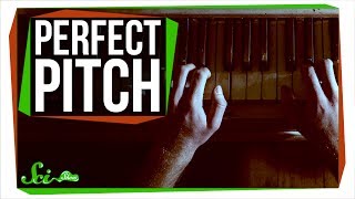 Can You Learn Perfect Pitch [upl. by Denver]