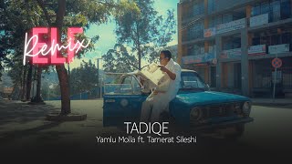 ጣዲቄ Official Music Video  ያምሉ ሞላ ከታምራት ስለሺ ጋር  YAMLU MOLLA ft TAMERAT SILESHI [upl. by Nathanil]