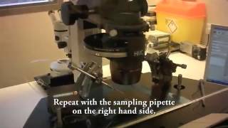 Micromanipulator setup [upl. by Butler]