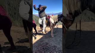 Funniest horse rider 😆 rameshkarki horseriding youtubeshorts youtubefeed [upl. by Lasonde54]