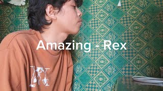 Amazing  Rex Orange County cover [upl. by Assirehc]