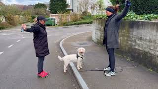 Outdoor Fitness with Love [upl. by Dilisio889]