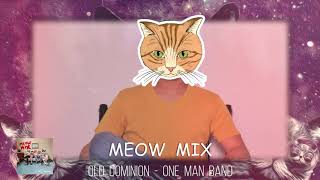 Old Dominion  One Man Band Meow Mix Cover by Neil Umwi [upl. by Kitti]